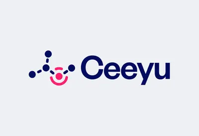 Simplifying dense data for a security startup – ceeyu