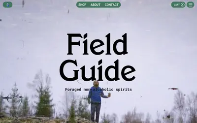Field Guide page with its serif wordmark over a misty salt marsh – fruitslagers