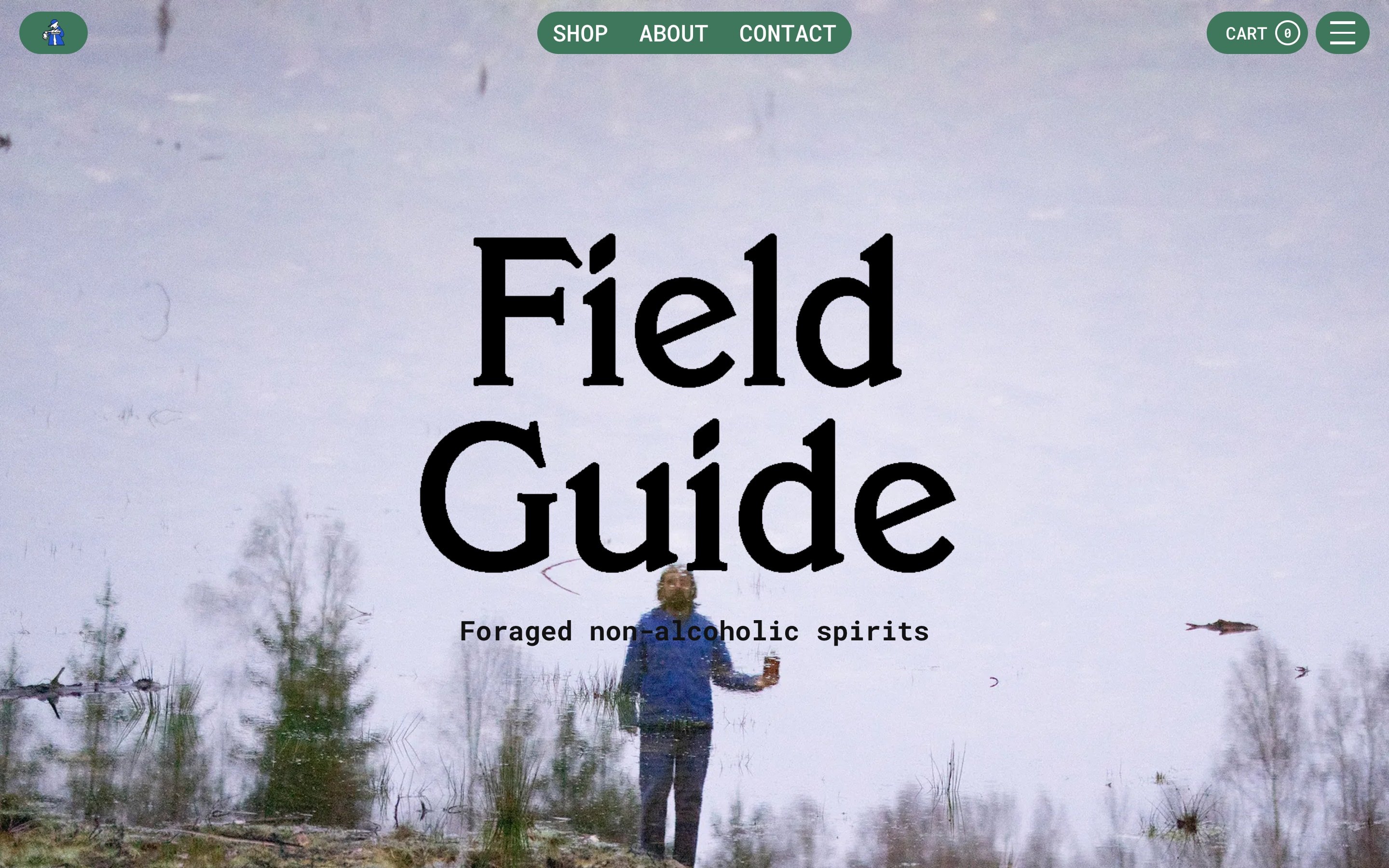 Field Guide page with its serif wordmark over a misty salt marsh
