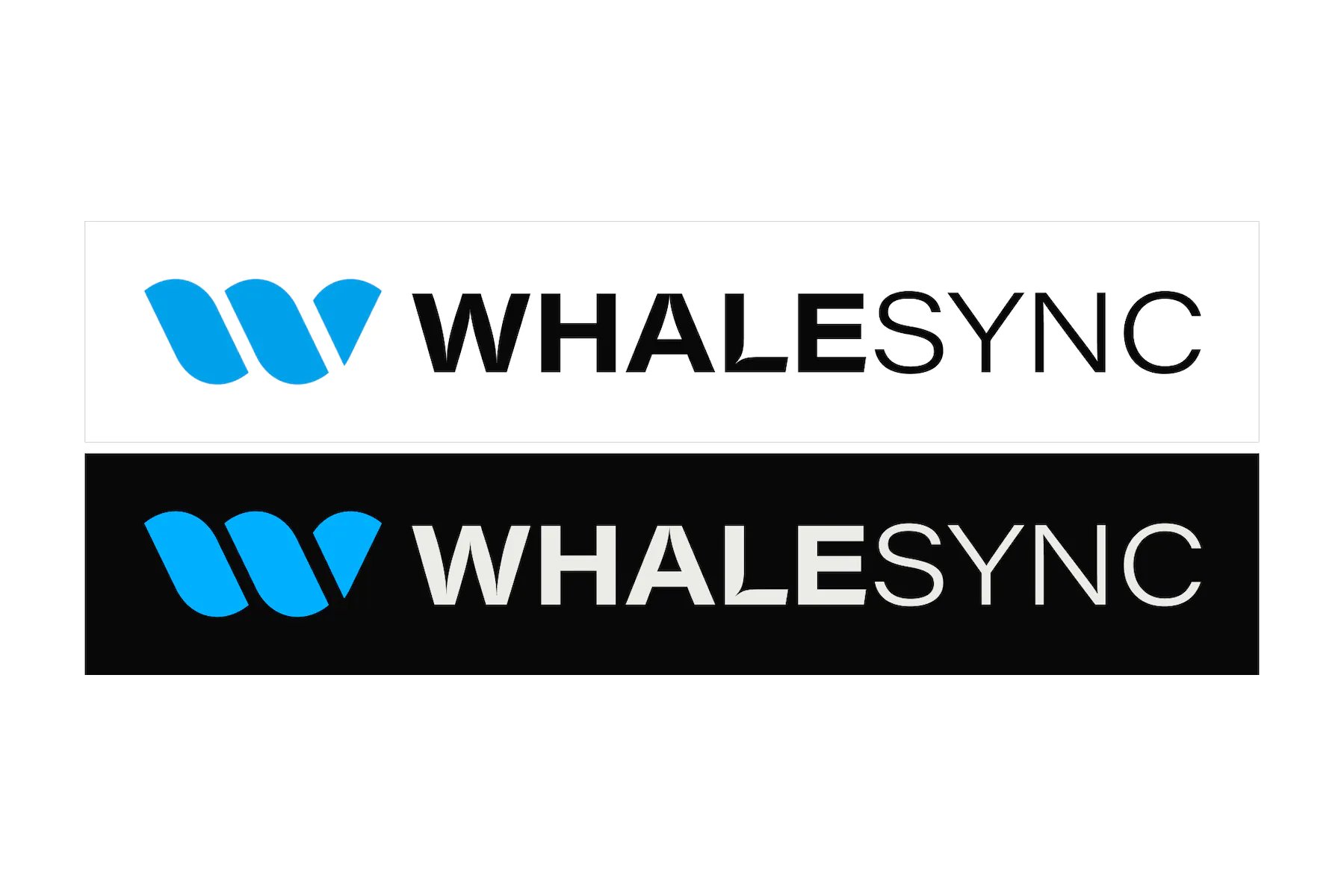 Whalesync — image 4 of 4